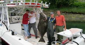 halibut-charters